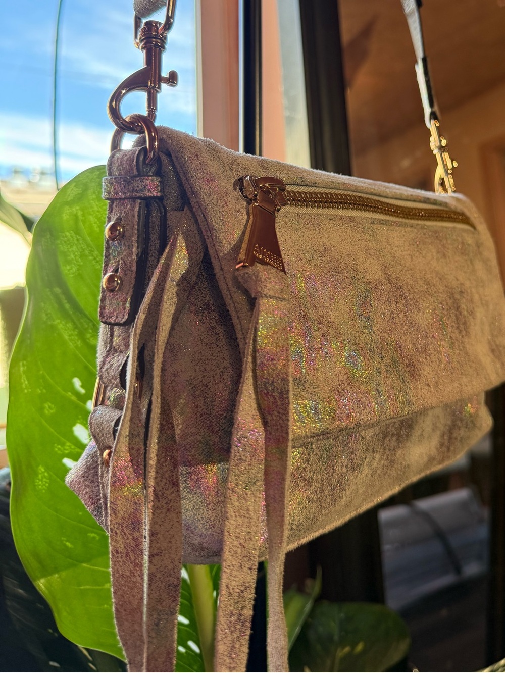 Aimee Kesetnburg opalescent bag NWOT